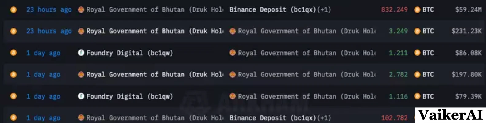 Royal Government of Bhutan (Druk Holdings) (Arkham Intelligence)